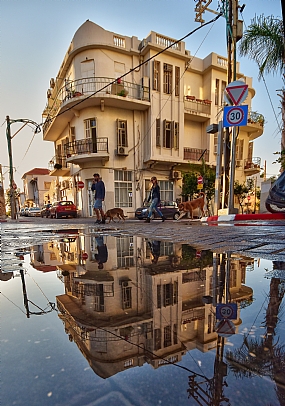 ינואר בתל אביב | השתקפות  פינס  כלבים  אנשים  בניינים 