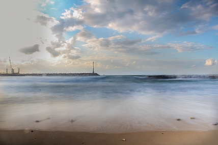 צילום: אלון אברמוביץ
