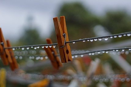 צילום: אלון אברמוביץ