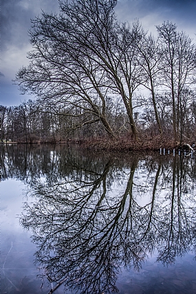 חורף בטירגארטן | השתקפות  אגמון  חורף