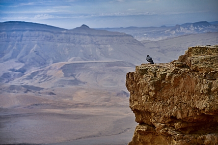 נקודת תצפית