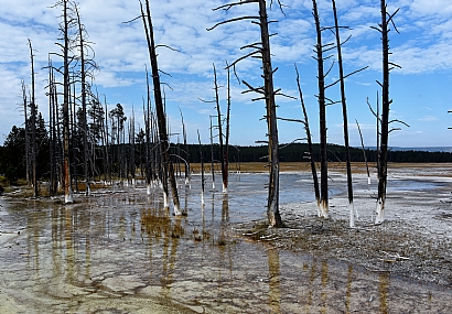 ט"ו בשבט זה לא