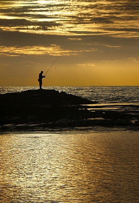 תפסתי דג זהב