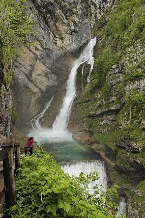 לצלם את היופי