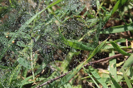 צילום: אייל ר