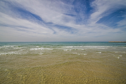 צבעי תל אביב