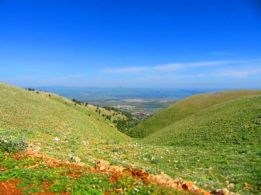 צילום: חבצלת פרלמן