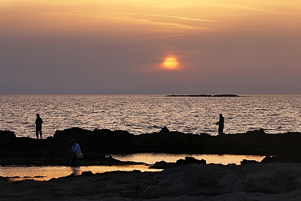 דגים בשקיעה