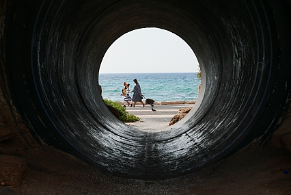 צילום: רועי כהן