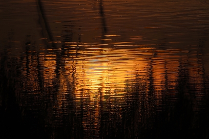 השתקפות בשעת שקיעה