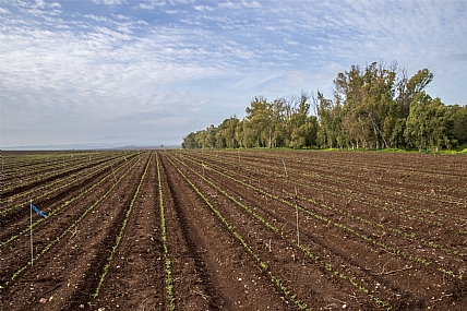 שורות נפגשות