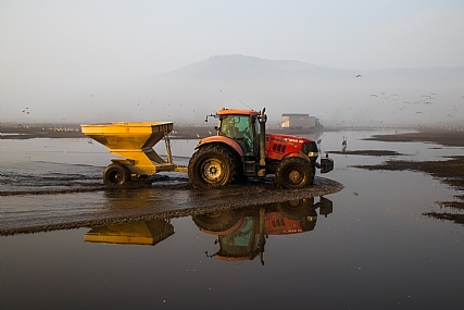 ארוחת בוקר לעגורים