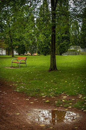 צילום: אריאל אמבר