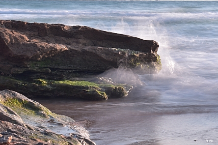 מפסולי הטבע