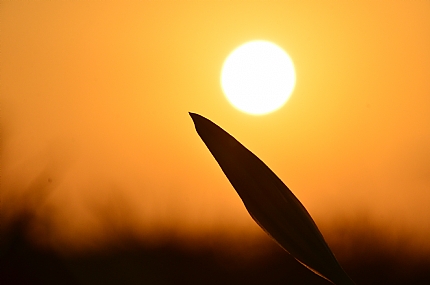 מי למעלה, מי למטה