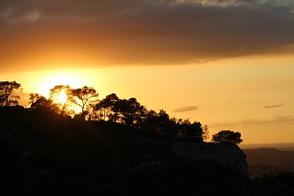 צילום: חגי גולדשמידט