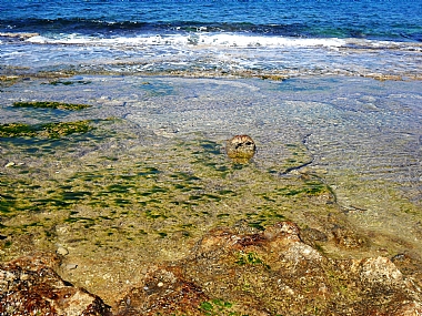 צילום: אלי מזרחי