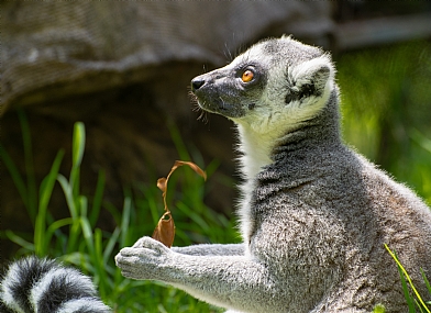 בבקשה בבקשה!