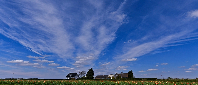 הרבה שמיים...