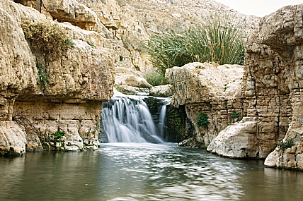 צילום: יונה סימור