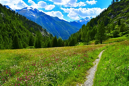 השביל | הרים  אביב