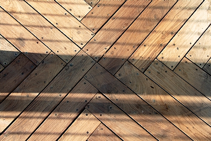 מפגש (מ)עצים