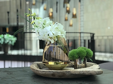 צילום: משה  ב