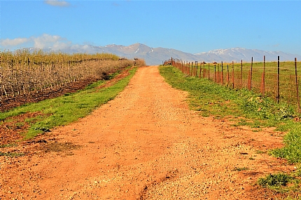 ארצנו היפה!