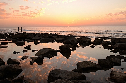 ד(יי)גים ונהנים!