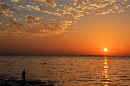 עוד ניסיון, ודי