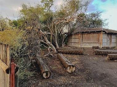 כאן הטביעו ציפורים