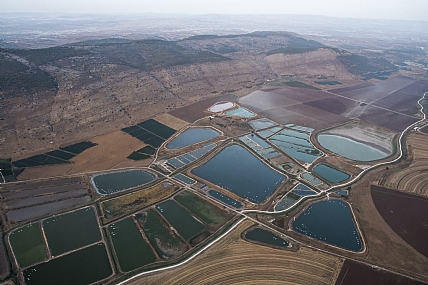 צילום: ג׳ורג׳ו פוביני