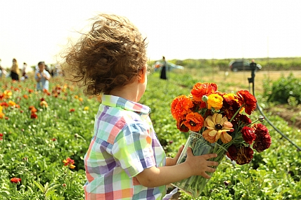 צילום: נחום  דיקמן