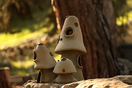 משחקים אותה פטריות...