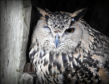 חצי פגישה .. 