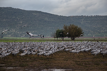 בתנועה מתמדת
