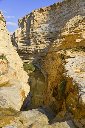 קניונים בנחל צין | נגב