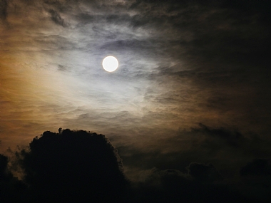 צילום: עומר פילוסוף