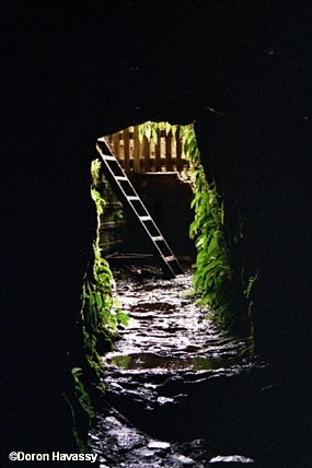 צאתכם לשלום