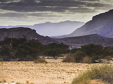 המדבר ליד אילת | אילת  מדבר
