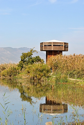 שמורת החולה 