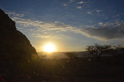צילום: עודד  סימוביץ