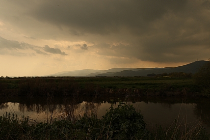 סופו של יום