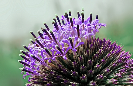 כואב אבל פחות