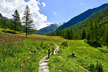 אביב בהרים הגבוהים
