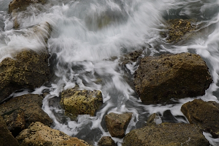צילום: אמיר סיון