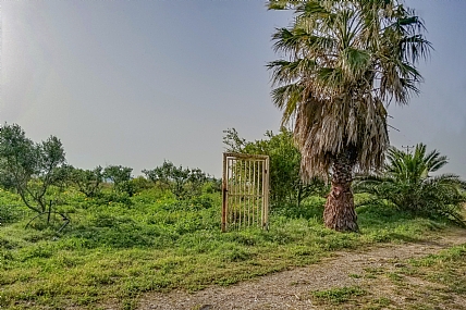 השער לשום מקום