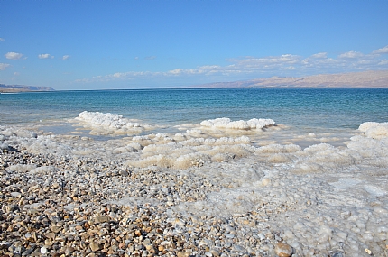 בשלל גוונים וטעמים