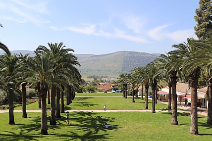 נוף עין חרוד 