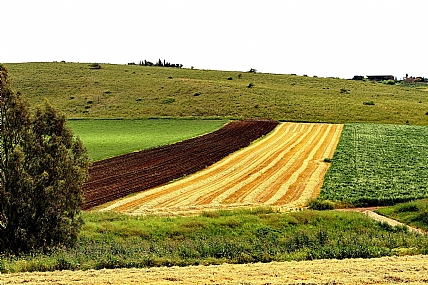 צילומים ותמונות של ארץ ישראל | תמונות יפות לעיצוב הסלון, הבית והמשרד